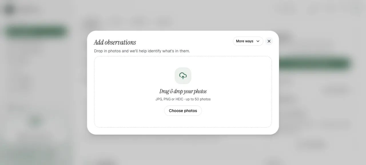 Add observations upload modal