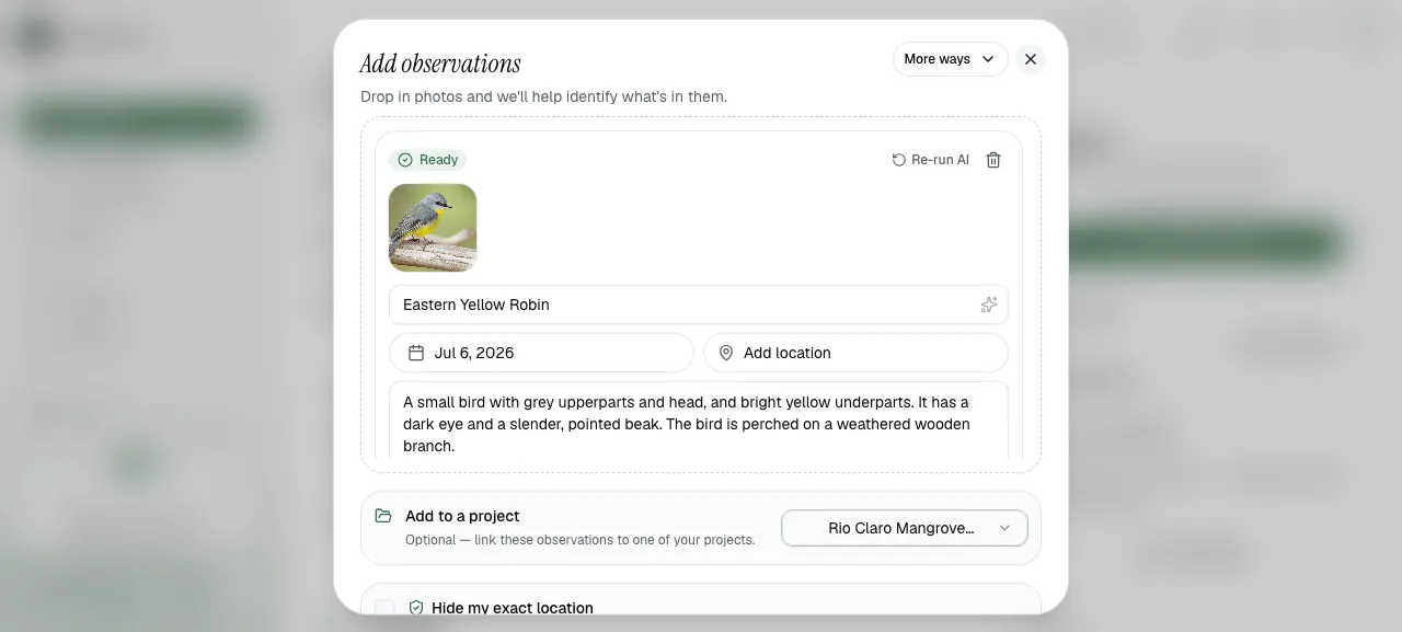 Add observations form with project linking