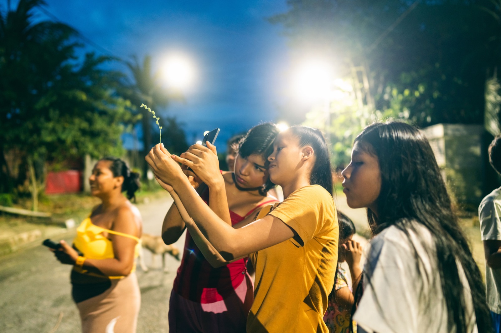 Community members outdoors during a BioBlitz activity